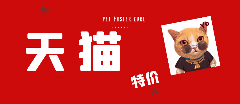                   〖 猫店 〗